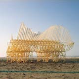 Strandbeest [Foto's: Loek van der Klis]